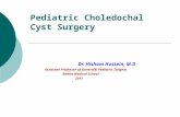 Pediatric Choledochal Cyst Surgery Dr. Hisham Hussein, M.D Assistant Professor of General& Pediatric Surgery Banha Medical School 2011
