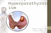 Primary Hyperparathyroidism Megha Poddar, PGY5 January 2015.
