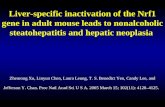 Liver-specific inactivation of the Nrf1 gene in adult mouse leads to nonalcoholic steatohepatitis and hepatic neoplasia Zhenrong Xu, Linyun Chen, Laura.