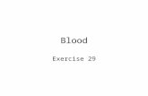 Blood Exercise 29. Composition of whole blood Typical Erythrocyte.