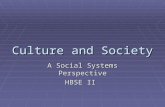 Culture and Society A Social Systems Perspective HBSE II.