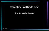 7/12/2015 Scientific methodology How to study the cell.