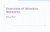 Overview of Wireless Networks Anuj Puri. Outline Projections of wireless growth Cellular Networks Wireless LANs and Bluetooth WAP Ad Hoc wireless networks.
