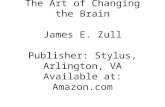 The Art of Changing the Brain James E. Zull Publisher: Stylus, Arlington, VA Available at: Amazon.com.