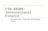 Assessing Foreign Exchange Risk FIN 40500: International Finance.