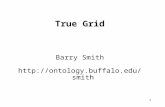 1 True Grid Barry Smith .