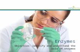 Enzymes Objective: Identify and understand the role of enzymes.