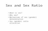 Sex and Sex Ratio What is sex? Why sex? Mechanisms of sex (gender) determination Sex (gender) ratio allocation.
