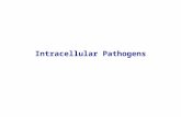 Intracellular Pathogens. Disease function of susceptibility of host relates to mechanism of bacterial pathogenesis immune competent/compromised immunizations.
