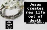 Jesus creates new life out of death St. Peter Worship at Key to Life Saturday, April 9.
