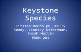 Keystone Species Kirsten Randolph, Kelly Spady, Lindsey Kirschman, Sarah Martin ESRM 201.