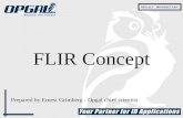 FLIR Concept Prepared by Ernest Grimberg - Opgal chief scientist.