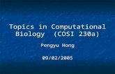 Topics in Computational Biology (COSI 230a) Pengyu Hong 09/02/2005.