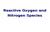 Reactive Oxygen and Nitrogen Species. The Earth was originally anoxic Metabolism was anaerobic O 2 started appearing ~2.5 x 10 9 years ago Anaerobic metabolism-glycolysis.