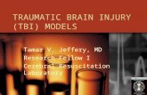 TRAUMATIC BRAIN INJURY (TBI) MODELS Tamar V. Jeffery, MD Research Fellow I Cerebral Resuscitation Laboratory.
