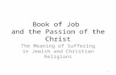 Book of Job and the Passion of the Christ The Meaning of Suffering in Jewish and Christian Religions 1.