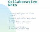Collaborative Nets Eduardo Camponogara and Sarosh Talukdar Institute for Complex Engineered Systems Carnegie Mellon University CDNA Project Meeting Pittsburgh,