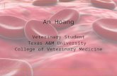 An Hoang Veterinary Student Texas A&M University College of Veterinary Medicine.