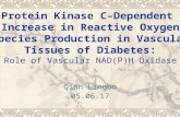 Qian Lingbo 05.06.17 Protein Kinase C–Dependent Increase in Reactive Oxygen Species Production in Vascular Tissues of Diabetes: Role of Vascular NAD(P)H.