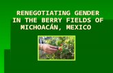 RENEGOTIATING GENDER IN THE BERRY FIELDS OF MICHOACÁN, MEXICO.