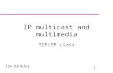 1 Jim Binkley IP multicast and multimedia TCP/IP class.