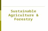 Sustainable Agriculture & Forestry. AGRICULTURE  transforming natural ecosystem into one devoted to production of food, fibre, & fuel Requirements: