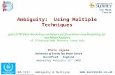 Ion Beam Centre  IBA VIII: Ambiguity & Multiple Techniques Ambiguity: Using Multiple Techniques Joint ICTP/IAEA Workshop on Advanced.