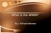 What is the WWW? By J. Richard Stevens. Topics Brief history of the Internet and WWW Terminology Protocols and Addressing How publishing works Brief history.