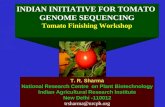 INDIAN INITIATIVE FOR TOMATO GENOME SEQUENCING Tomato Finishing Workshop T. R. Sharma National Research Centre on Plant Biotechnology Indian Agricultural.
