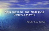 Aggregation and Modeling Organizations Bahadır Kaan Özütam.