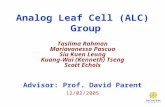 1 Analog Leaf Cell (ALC) Group Advisor: Prof. David Parent Taslima Rahman Mariavanessa Pascua Siu Kuen Leung Kuang-Wai (Kenneth) Tseng Scott Echols 12/02/2005.