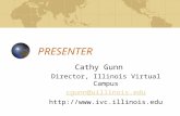 PRESENTER Cathy Gunn Director, Illinois Virtual Campus cgunn@uillinois.edu .