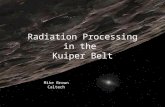 Radiation Processing in the Kuiper Belt Mike Brown Caltech.