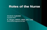 Roles of the Nurse NUR101 Fall2009 Lecture #17 K. Burger, MSED, MSN, RN, CNE PPP By:Sharon Niggemeier RN MSN.