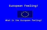 European Feeling! What is the European feeling?. Content: History of European Feeling The European countries The Euro Then and now Our opinion.