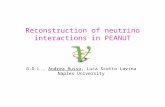 Reconstruction of neutrino interactions in PEANUT G.D.L., Andrea Russo, Luca Scotto Lavina Naples University.