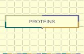 PROTEINS Organic compounds Acid and amino group * nitrogen**** * side group.