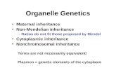 Organelle Genetics Maternal inheritance Non-Mendelian inheritance –Ratios do not fit those proposed by Mendel Cytoplasmic inheritance Nonchromosomal inheritance.
