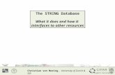 The STRING Database What it does and how it interfaces to other resources The STRING Database What it does and how it interfaces to other resources Christian.