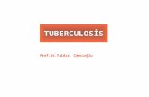TUBERCULOSİS Prof.Dr.Yıldız Camcıoğlu. Tuberculosis(TB) Mycobacterium tuberculosis Mycobacterium bovis Mycobacterium tuberculosis infects millions of.