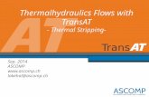 Thermalhydraulics Flows with TransAT - Thermal Stripping- Sep. 2014 ASCOMP  lakehal@ascomp.ch.