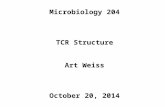 Microbiology 204 TCR Structure Art Weiss October 20, 2014.