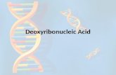 Deoxyribonucleic Acid. Goals Who helped discover DNA? What does DNA look like? What is DNA made of? What is the job of DNA? Where does DNA come from?