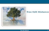 Tree edit distance1 Tree Edit Distance. ï‚„ Minimum edits to transform one tree into another Tree edit distance2 TED