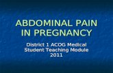 ABDOMINAL PAIN IN PREGNANCY District 1 ACOG Medical Student Teaching Module 2011.