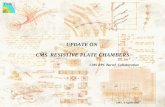 UPDATE ON CMS RESISTIVE PLATE CHAMBERS CMS RPC Barrel Collaboration GR1, 5 Aprile 2004.