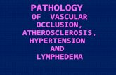 PATHOLOGY OF VASCULAR OCCLUSION, ATHEROSCLEROSIS, HYPERTENSION AND LYMPHEDEMA.