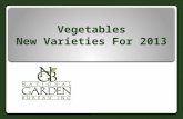 Vegetables New Varieties For 2013. ARUGULA ‘WILD ARUGULA’ Terra Organics, LLC Crisp spicy flavor Annual plant for sun or shade Low growing plants perform.