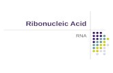 Ribonucleic Acid RNA. The structure of ribonucleic acid Learning Objectives: Describe the structure of ribonucleic acid (RNA) Describe the structure and.
