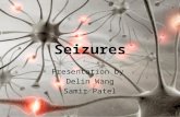 Seizures Presentation by Delin Wang Samir Patel. Introduction  A seizure is a paroxysmal event due to abnormal, excessive, hypersynchronous discharges.